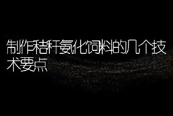 制作秸秆氨化饲料的几个技术要点