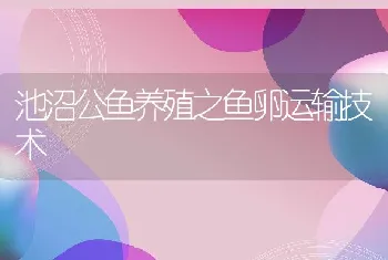 池沼公鱼养殖之鱼卵运输技术