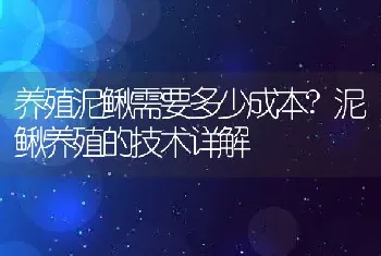 养殖泥鳅需要多少成本?泥鳅养殖的技术详解