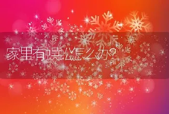 家里有蜈蚣怎么办？