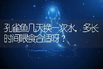 孔雀鱼几天换一次水，多长时间喂食合适呀？