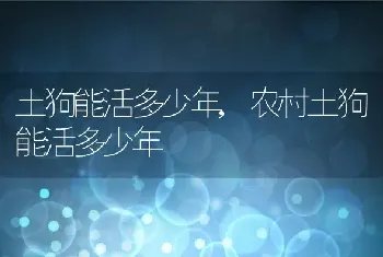 土狗能活多少年，农村土狗能活多少年