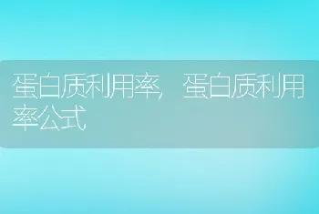 蛋白质利用率，蛋白质利用率公式