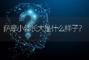 萨摩小体长大是什么样子？