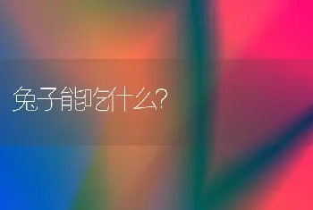 兔子能吃什么？