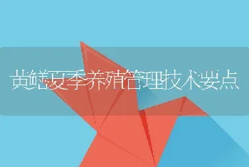 黄鳝夏季养殖管理技术要点