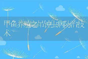 甲鱼养殖之吊钟虫病防治技术