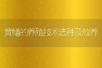 黄鳝的养殖技术选种及放养