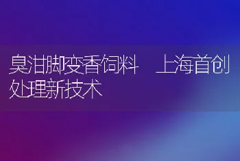 臭泔脚变香饲料上海首创处理新技术