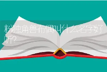 粉独角兽布偶叫什么名字好听？