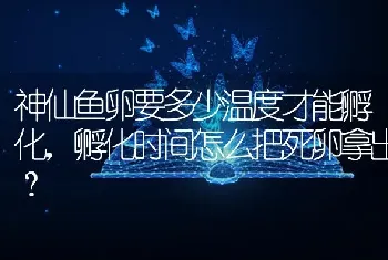 神仙鱼卵要多少温度才能孵化，孵化时间怎么把死卵拿出？