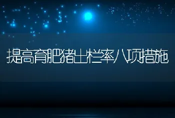 提高育肥猪出栏率八项措施