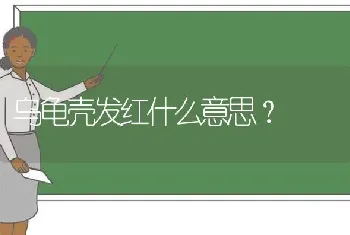 乌龟壳发红什么意思？