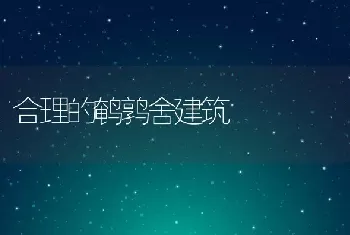 合理的鹌鹑舍建筑