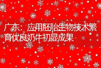 广东：应用胚胎生物技术繁育优良奶牛初显成果