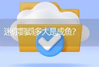 迷你鹦鹉多大是成鱼？