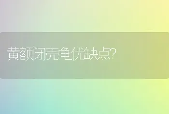 雪纳瑞可以吃李子吗？