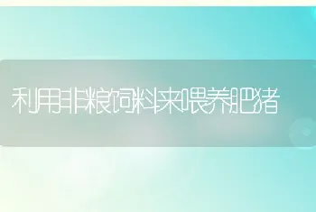 利用非粮饲料来喂养肥猪