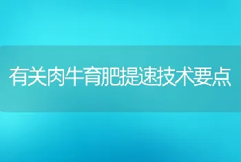 有关肉牛育肥提速技术要点