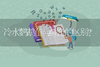 冷水鹦鹉鱼与鲤鱼的区别？