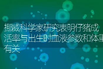 挪威科学家研究表明仔猪成活率与出生时血液参数和体重有关