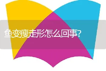 鱼变瘦走形怎么回事？