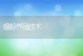 蟾蜍养殖技术