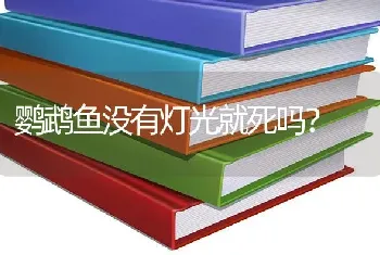 鹦鹉鱼没有灯光就死吗？