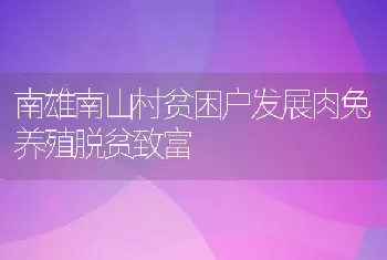 南雄南山村贫困户发展肉兔养殖脱贫致富