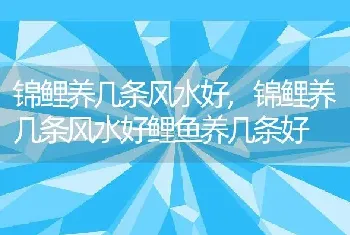 锦鲤养几条风水好，锦鲤养几条风水好鲤鱼养几条好