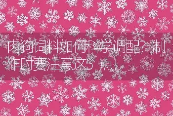 肉狗饲料如何科学调配？制作时要注意这5点！