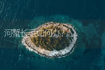 河蟹长毛如何办？