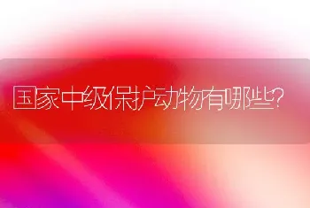 国家中级保护动物有哪些？