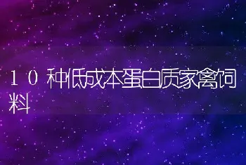 10种低成本蛋白质家禽饲料