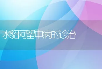 水泥池养殖黄鳝的管理技术