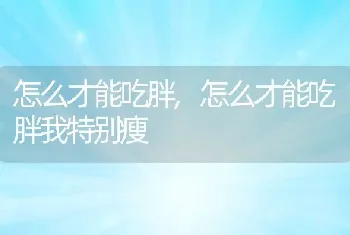 怎么才能吃胖，怎么才能吃胖我特别瘦