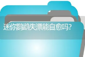 孔雀鱼下崽提前多久进产房？