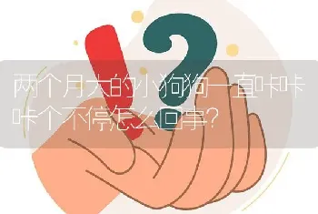 两个月大的小狗狗一直咔咔咔个不停怎么回事？