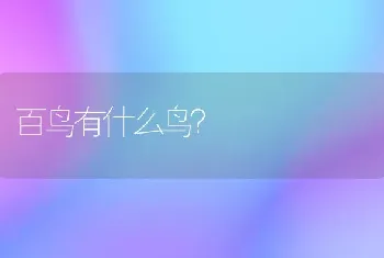 百鸟有什么鸟？