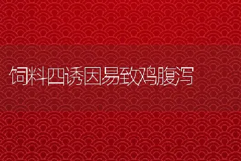 饲料四诱因易致鸡腹泻