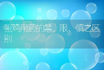 蛋鸡用药的禁、限、慎之区别