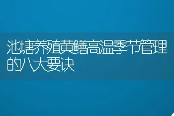 池塘养殖黄鳝高温季节管理的八大要诀