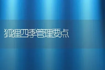 狐狸四季管理要点