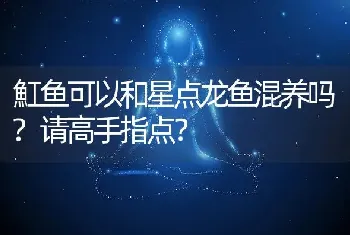 魟鱼可以和星点龙鱼混养吗？请高手指点？