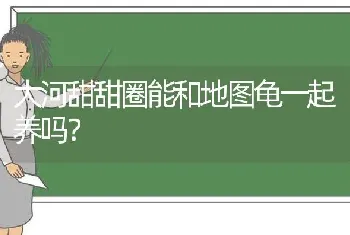 大河甜甜圈能和地图龟一起养吗？