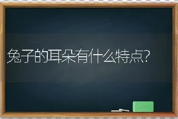 兔子的耳朵有什么特点？