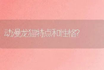 动漫龙猫特点和性格？