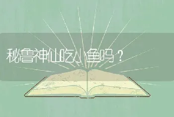 秘鲁神仙吃小鱼吗？