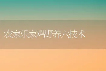 农家乐家鸡野养六技术