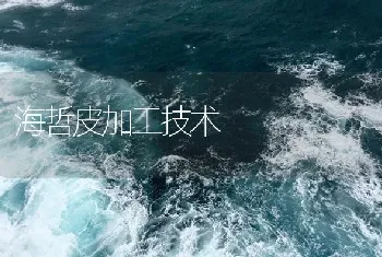 海哲皮加工技术